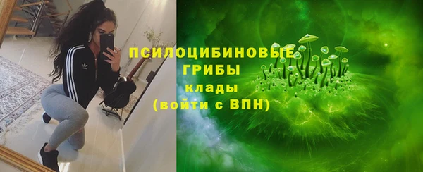 дживик Мегион