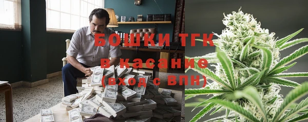 дживик Мегион