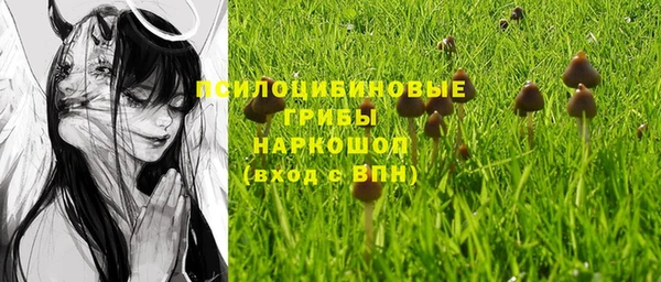 дживик Мегион
