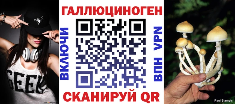 где купить наркотик  Ачинск  мориарти состав  Галлюциногенные грибы мицелий 