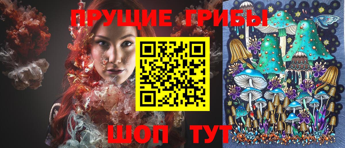 Псилоцибиновые грибы мицелий Ачинск